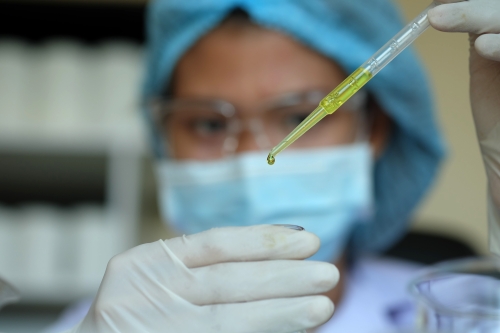 DNA (Coming Soon!) Support Photo 9